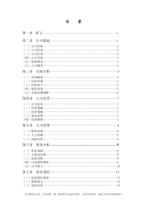 印象广告设计公司商业计划书DOC（DOC15页）