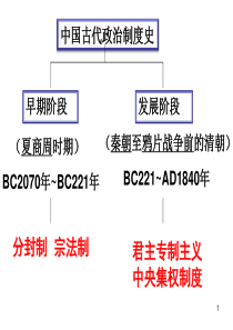 高中历史必修一复习课件(全套)