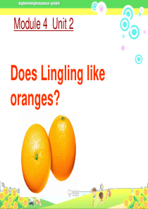 《Module4-Unit2-Does-Lingling-like-oranges》外研版小学三年级