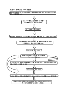 拟南芥总RNA提取流程图