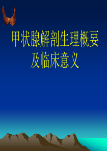 甲状腺解剖生理概要及临床意义