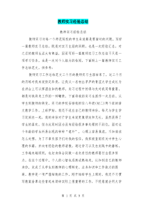 教师实习经验总结