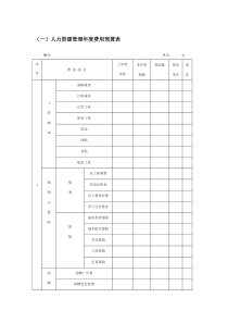 人力资源年度费用预算表