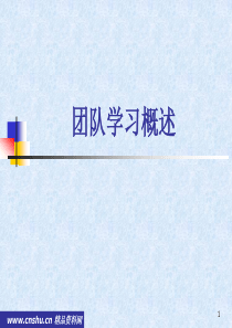 团队学习概述