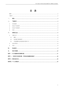 团队实践报告正文