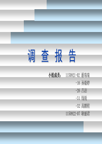 调查报告汇报（PPT28页）