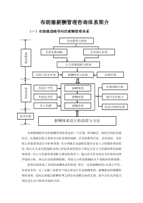 布朗德战略导向的薪酬管理体系