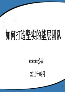 团队建设-如何打造坚实的基层团队（PPT 44页）