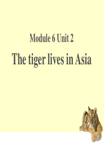 《The-tiger-lives-in-Asia》PPT课件