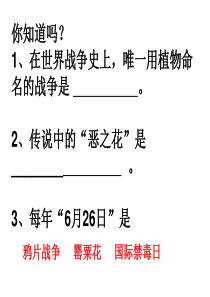 课件-中学生禁毒主题班会