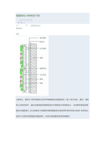 墙面绿化六种类型介绍