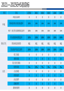 EHS十四五规划