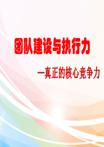 团队建设与执行力管理