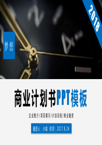 商业计划书PPT模板4（PPT35页)