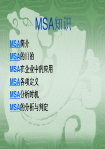 MSA基础知识