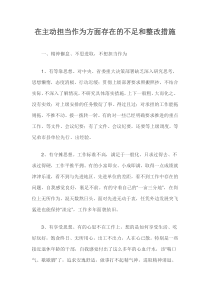 在主动担当作为方面存在的不足和整改措施