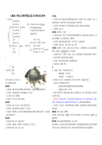 2019人教版-八年级生物上册期末全面总复习最新知识点总结