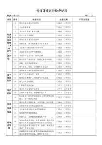 20-管理体系运行检查记录