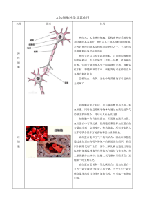 人体细胞种类和作用