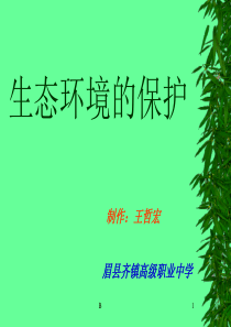 生态环境保护PPT课件