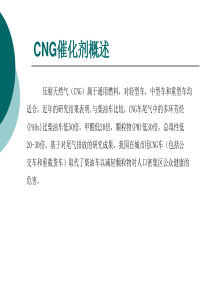 CNG催化剂概述