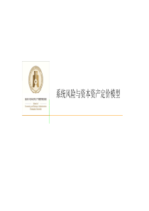 第12章-系统风险与资本资产定价模型