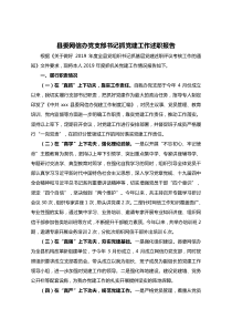 县委网信办党支部书记抓党建工作述职报告