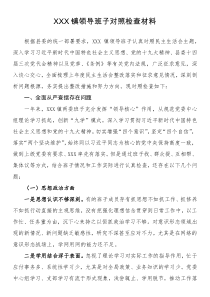 xx镇领导班子XX年度民主生活会对照检查材料