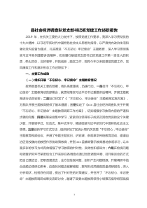 县社会经济调查队党支部书记抓党建工作述职报告