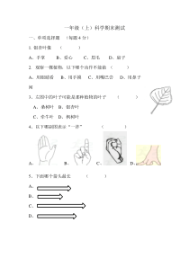 一年级上册科学期末测试试卷-教科版-有答案