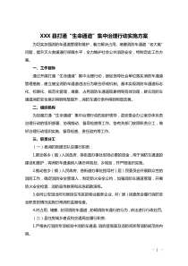 XX区打通生命通道集中治理行动实施方案