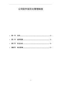 公司软件规范化管理办法试行