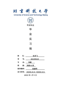 导演专业毕业实习报告范文