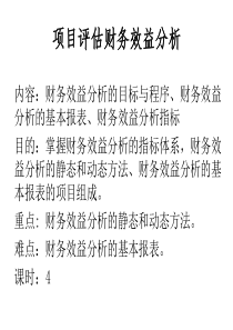 项目评估财务效益分析