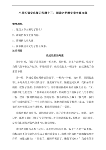 部编版小升初语文总复习专项练习：专题十三-阅读之把握文章主要内容(含答案)