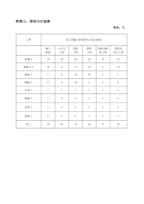 附表三：劳动力计划表