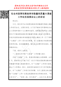 在全州政策性粮食库存数量和质量大清查工作动员视频会议上的讲话