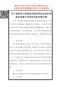 关于选派非公有制经济组织和社会组织党组织党建工作指导员的实施方案