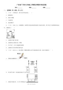 广东省广州市九年级上学期化学期末考试试卷