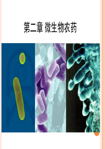 微生物农药—细菌PPT演示课件