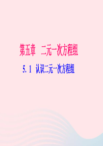 八年级数学上册第五章二元一次方程组1认识二元一次方程组作业课件新版北师大版