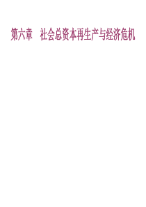 第六章社会总资本再生产与经济危机