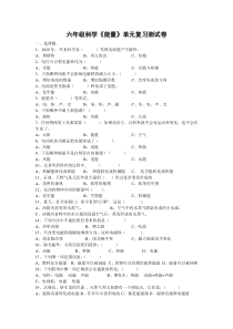 六年级科学《能量》单元复习测试卷