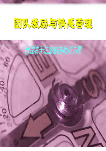 团队激励与情感管理