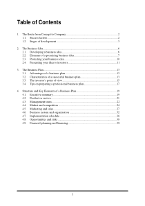 商业计划书（英文PDF 43页）