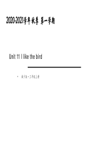 湘少版三年级英语上册Unit-11-I-like-the-bird课件PPT