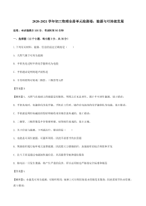 20202021学年九年级物理全册单元检测卷能源与可持续发展pdf新版新人教版解析版