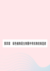 七年级生物上册期末复习第三单元第四章绿色植物是生物圈中有机物的制造者习题课件新版新人教版