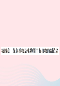 七年级生物上册第三单元第四章绿色植物是生物圈中有机物的制造者习题课件新版新人教版