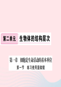 七年级生物上册第二单元第一章第一节练习使用显微镜习题课件新版新人教版